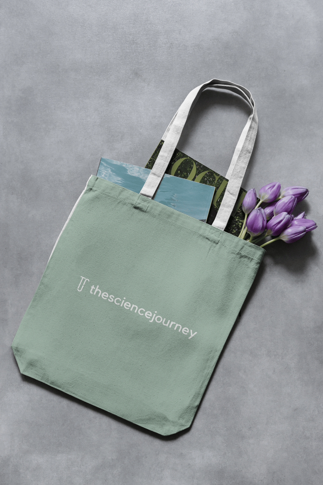 thesciencejourney portfolio 4